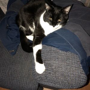 Meet your Posher, Peggy